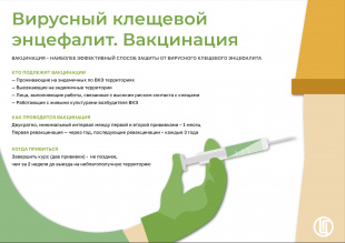 РЕКОМЕНДАЦИИ ГРАЖДАНАМ: О вакцинации против клещевого вирусного энцефалита