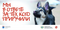 «Мы в ответе за тех, кого приручили»
