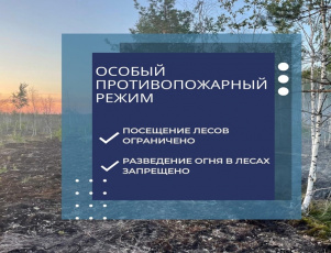 В регионе объявлен особый противопожарный режим.