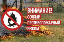 На территории Ленинградской области введен особый противопожарный режим