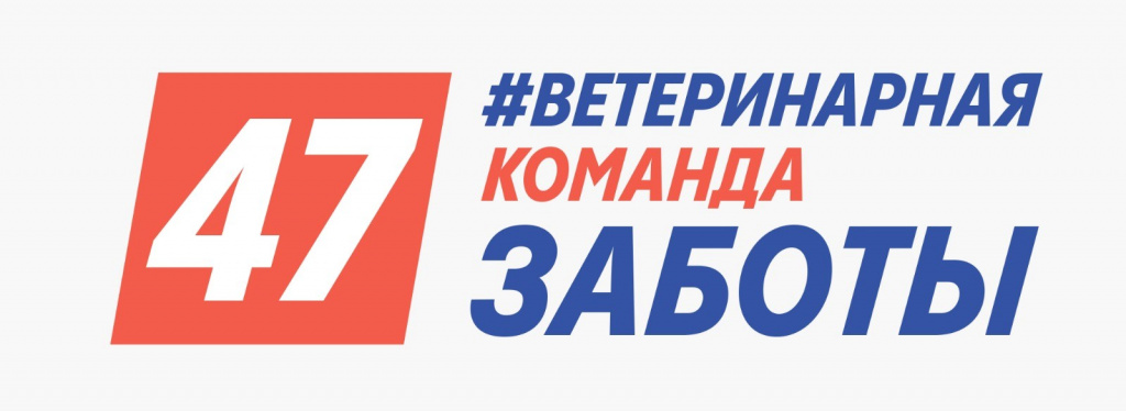 472.jpg