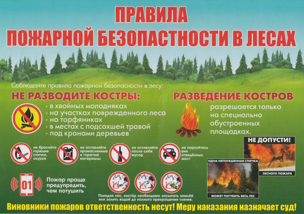 Лес.jpg