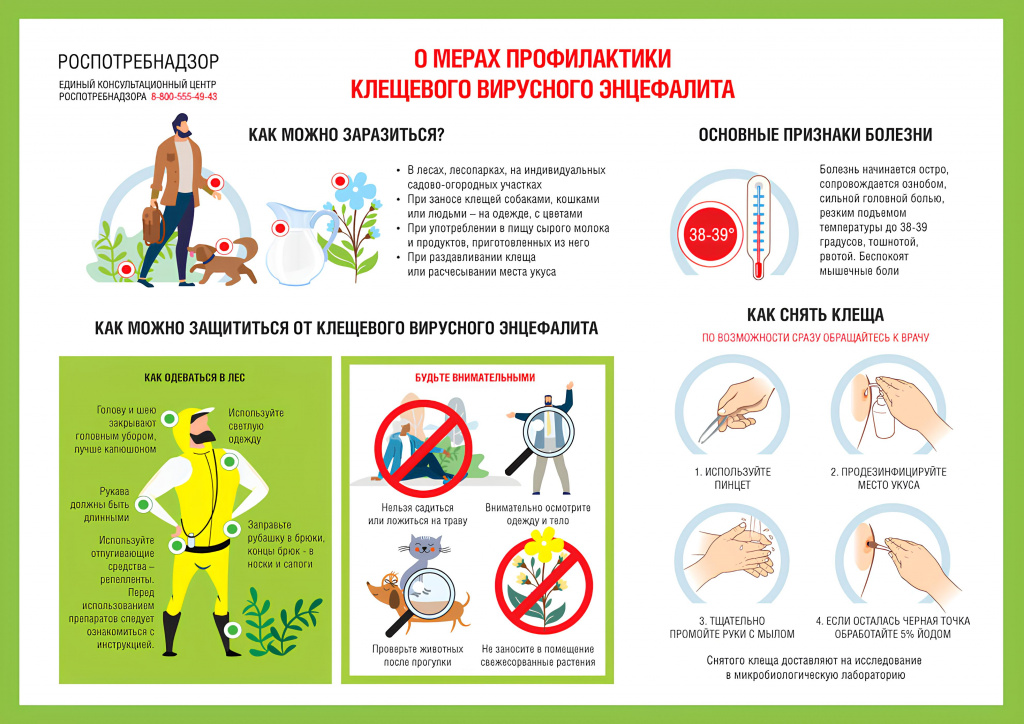 профилактика клещевого энцефалита.jpg